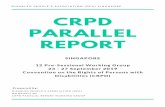 DPA CRPD Parallel Report - The Disabled People's Association