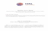 Random Active Shield - Archive ouverte HAL