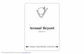 Annual Report - Vikalp Securities