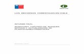 Informe Recursos Forestales en Chile 2017