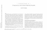 Pregnancy and Infant Mental Health | MassAIMH