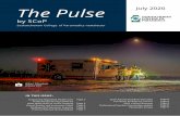 The Pulse by SCoP - Saskatchewan College of Paramedics