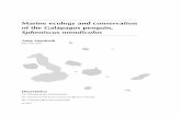 Marine ecology and conservation of the Galápagos penguin ...