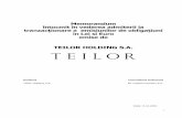 TEILOR HOLDING S.A. - BVB