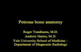 Petrous bone anatomy - Yale School of Medicine