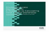 Privileged Access Management: A Roadmap to Calculating ...
