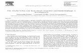 The Escherichia coli heat shock response and bacteriophage Î» development