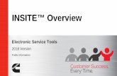 INSITE Overview