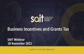 Business Incentives and Grants Tax