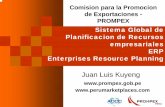 Comision para la Promocion de Exportaciones PROMPEX Sistema Global de Planificacion de Recursos empresariales ERP Enterprises Resource Planning
