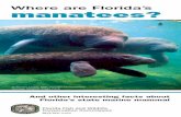 Where are Florida's Manatees? - Lake County Water Authority