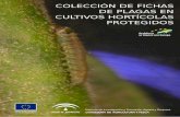Colección de fichas de plagas en cultivos hortícolas protegidos