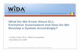 What Do We Know About ELL Formative Assessment and How Do We Develop a System Accordingly