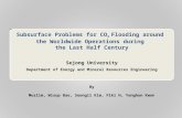 Subsurface Problems for CO2 Flooding