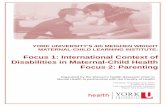 Focus 1: International Context of Disabilities in Maternal-Child ...