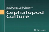 Current Status and Future Challenges in Cephalopod Culture