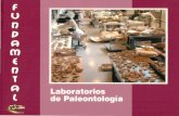 Colecta y preparación de inclusiones en resinas fósiles