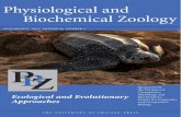 Leatherback Turtles Are Capital Breeders: Morphometric and Physiological Evidence from Longitudinal Monitoring