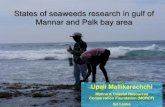 States of seaweeds research in gulf of Mannar and Palk bay area