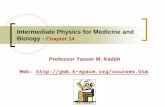 Intermediate Physics for Medicine and Biology - Chapter 14