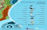 Dharawal animal names - Shellharbour Council