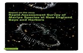 Rapid Assessment Survey of Marine Species at New England ...
