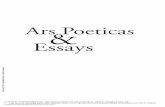 Essays - WordPress.com