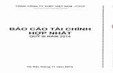 BAO CAO TAI CHIN H HOP NHAT - VNSteel
