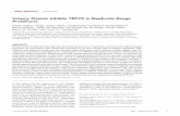 Urinary Plasmin Inhibits TRPV5 in Nephrotic-Range Proteinuria