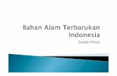 Bahan Alam Terbarukan Indonesia getah pinus