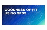 GOODNESS OF FIT USING SPSS