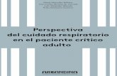 Perspectiva del cuidado respiratorio en el paciente crítico adulto