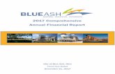2017 Comprehensive Annual Financial Report - Blue Ash