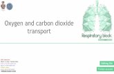 Oxygen and carbon dioxide transport - KSUMSC