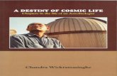 A Destiny of Cosmic Life
