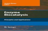 Study Cases of Enzymatic Processes