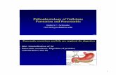 Pathophysiology of Gallstone Formation and Pancreatitis