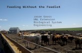 feeding without feedlot gross