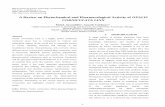 A Review on Phytochemical and Pharmacological Activity of ...