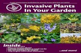 Invasive Plants - In Your Garden - Squarespace