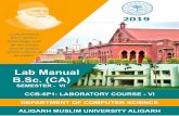 Lab Manual B.Sc. (CA) - Aligarh Muslim University
