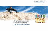 Carbonate Advisor - Schlumberger