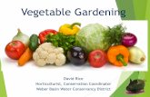 Vegetable Gardening - Weber Basin Water Conservancy District