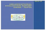 Organizational Evaluation Report Sindh - TEVTA