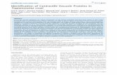 Identification of Contractile Vacuole Proteins in Trypanosoma cruzi