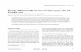 Diversity of black Aspergilli and mycotoxin risks in grape, wine and dried vine fruits