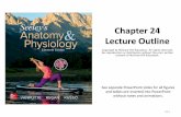 Chapter 24 Lecture Outline - Pcmac