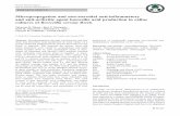 Micropropagation and non-steroidal anti-inflammatory and anti-arthritic agent boswellic acid production in callus cultures of Boswellia serrata Roxb