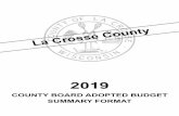 county board adopted budget summary format