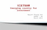 VIETNAM INVESTMENT